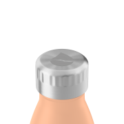 FLSK Flasche 500 ml / 750ml / 1000