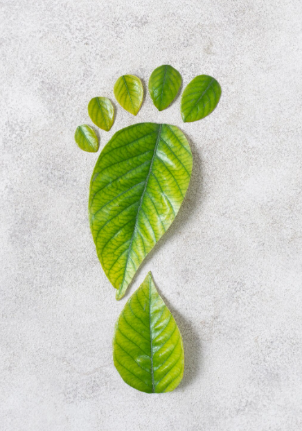 Blatt Fußabdruck